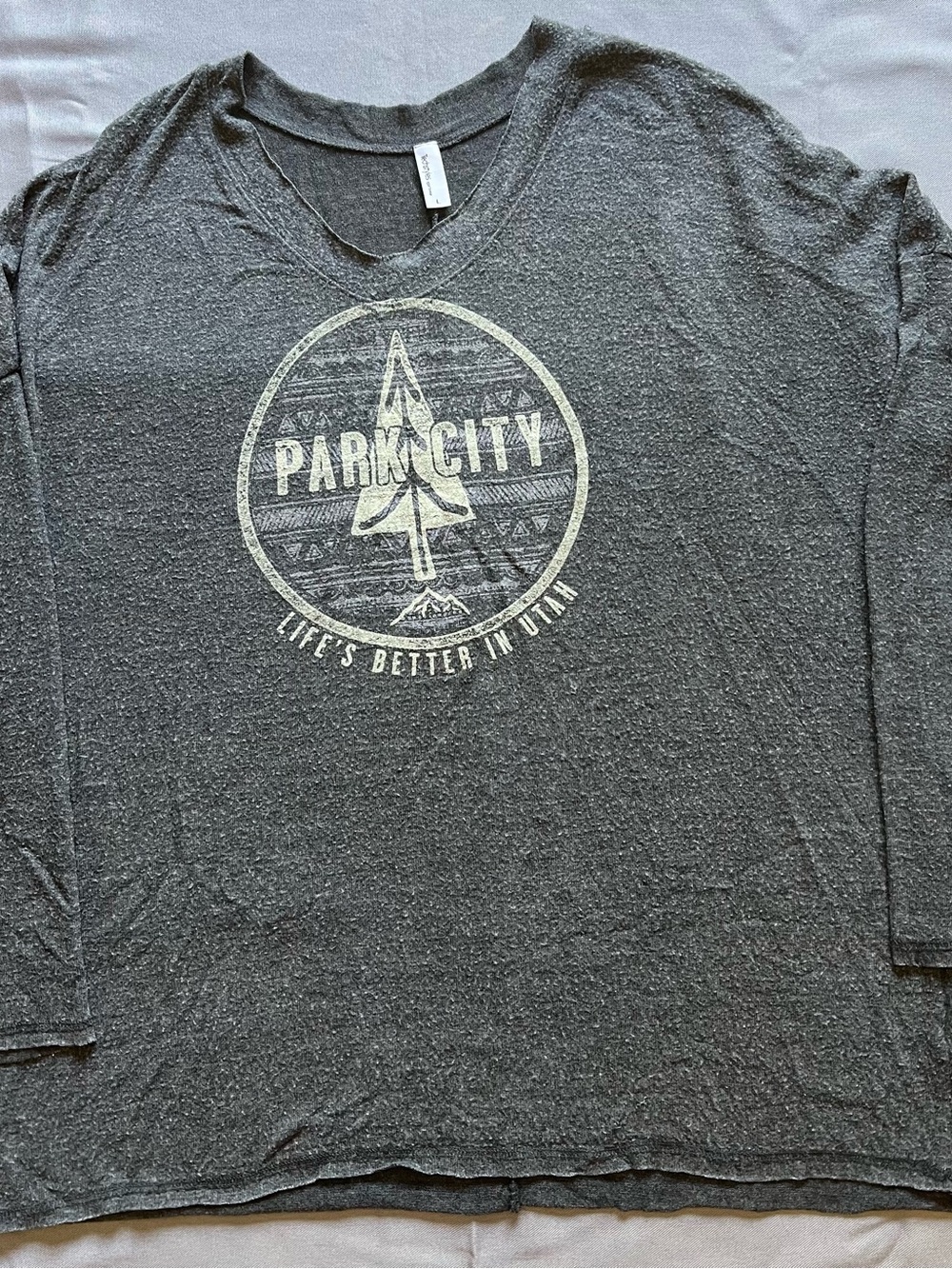 Women's Park City Graphic Long Sleeve Tee - Gray